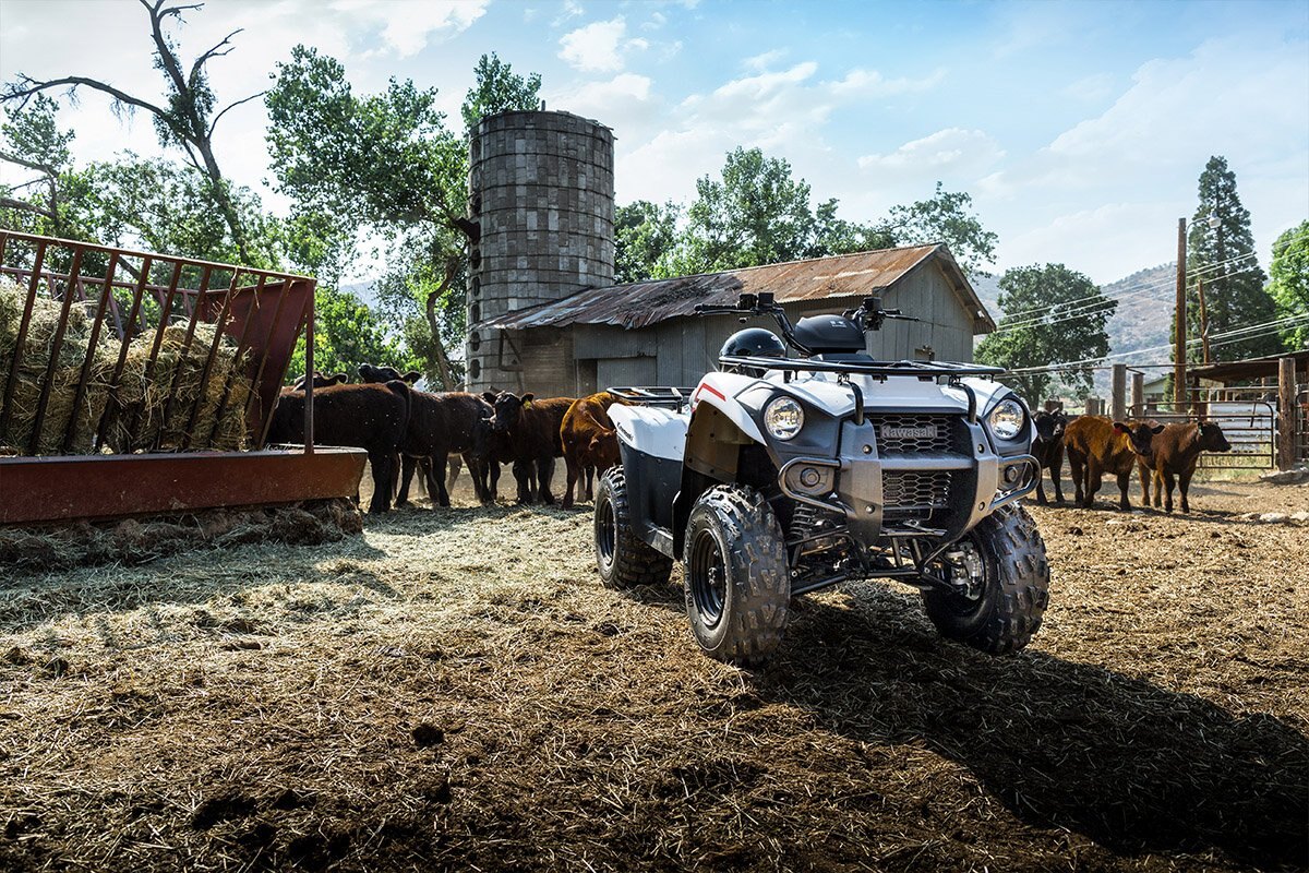 2021 Kawasaki BRUTE FORCE 300