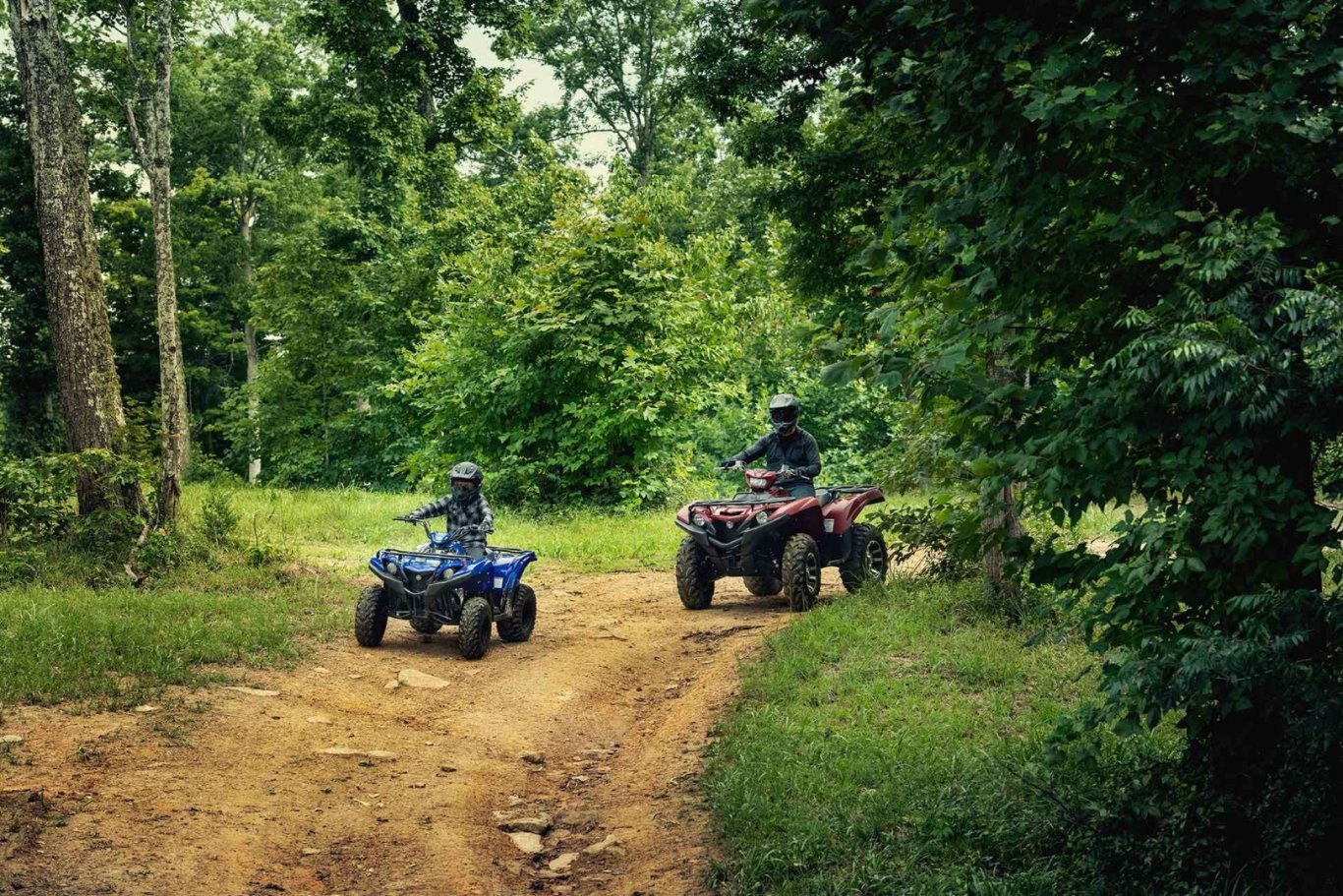 2021 Yamaha Grizzly 90