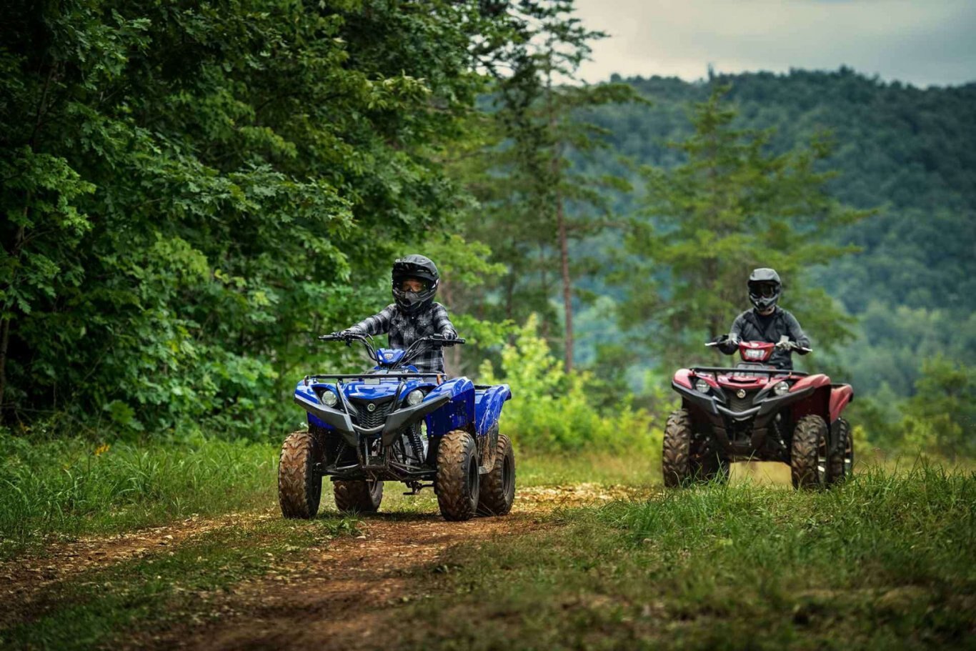 2021 Yamaha Grizzly 90