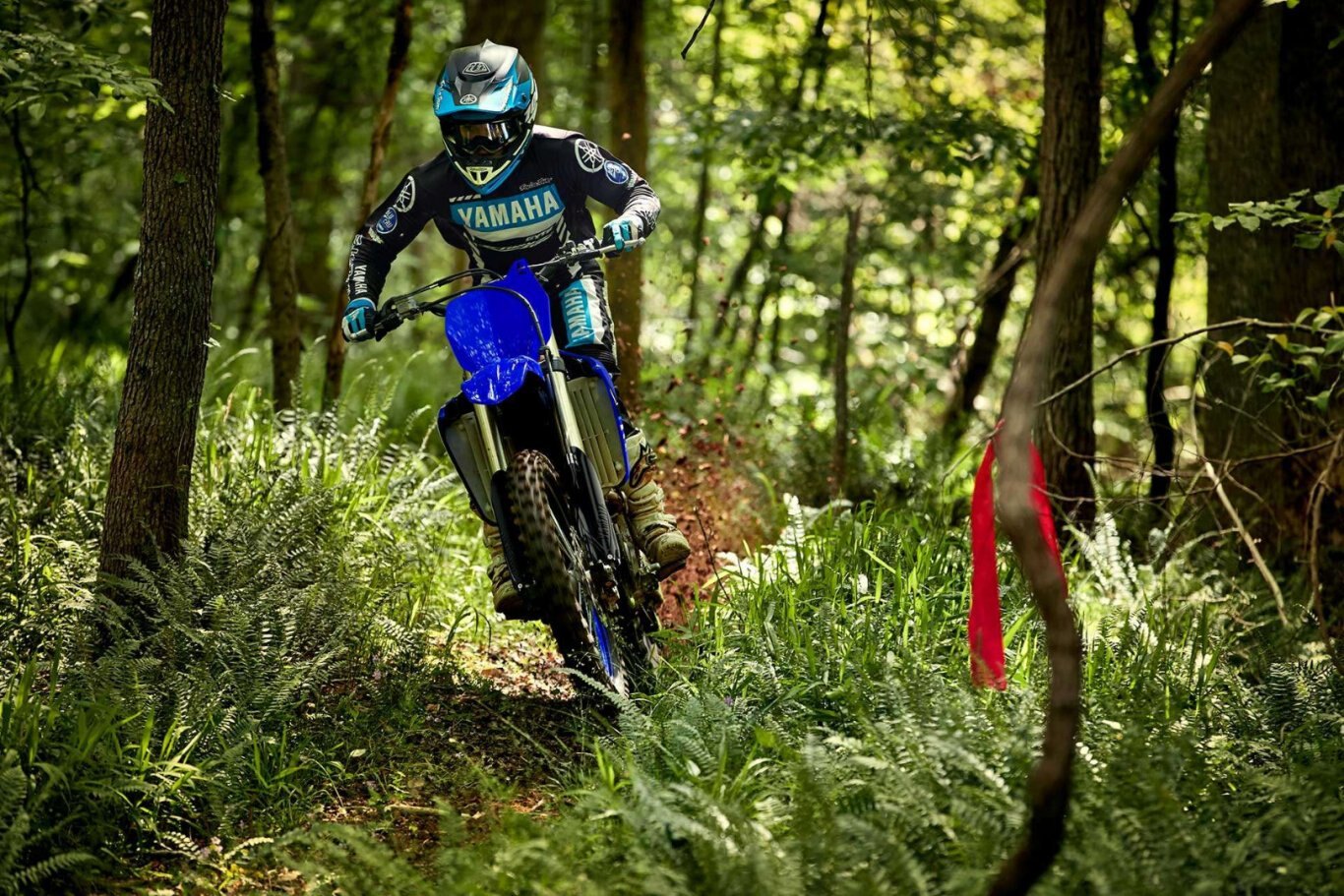 2021 Yamaha YZ250FX