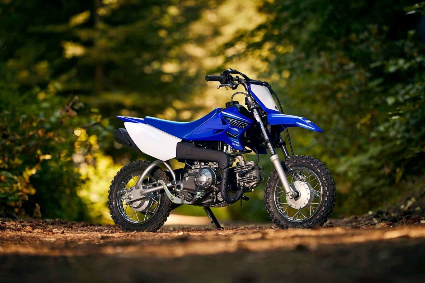 2021 Yamaha TT R50E