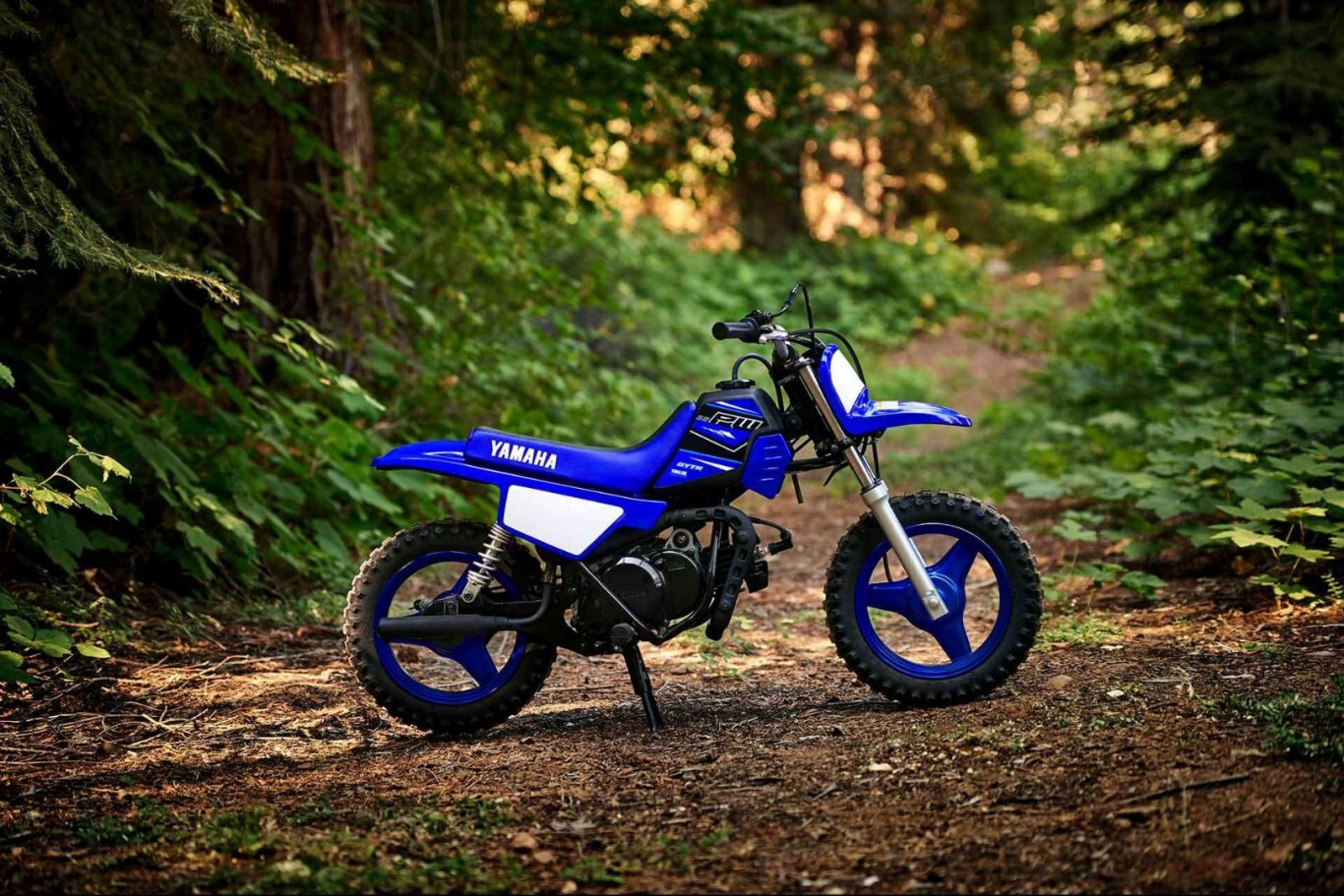 2021 Yamaha PW50 (2 STROKE)