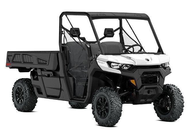 Can-Am Defender Pro DPS HD10