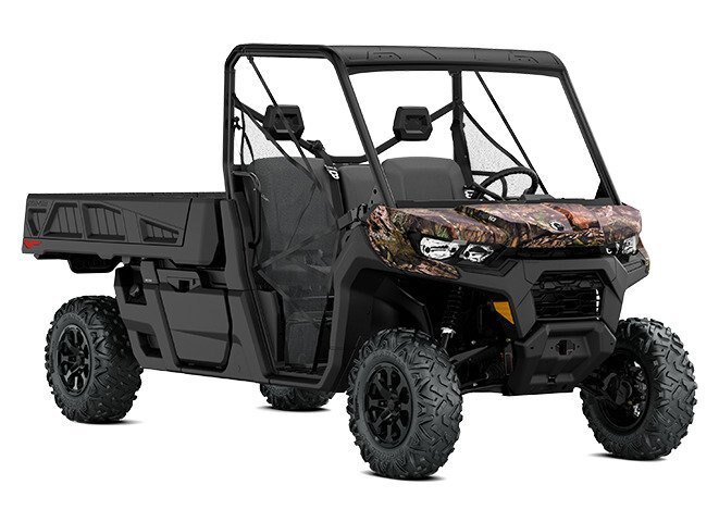 Can Am Defender Pro DPS HD10