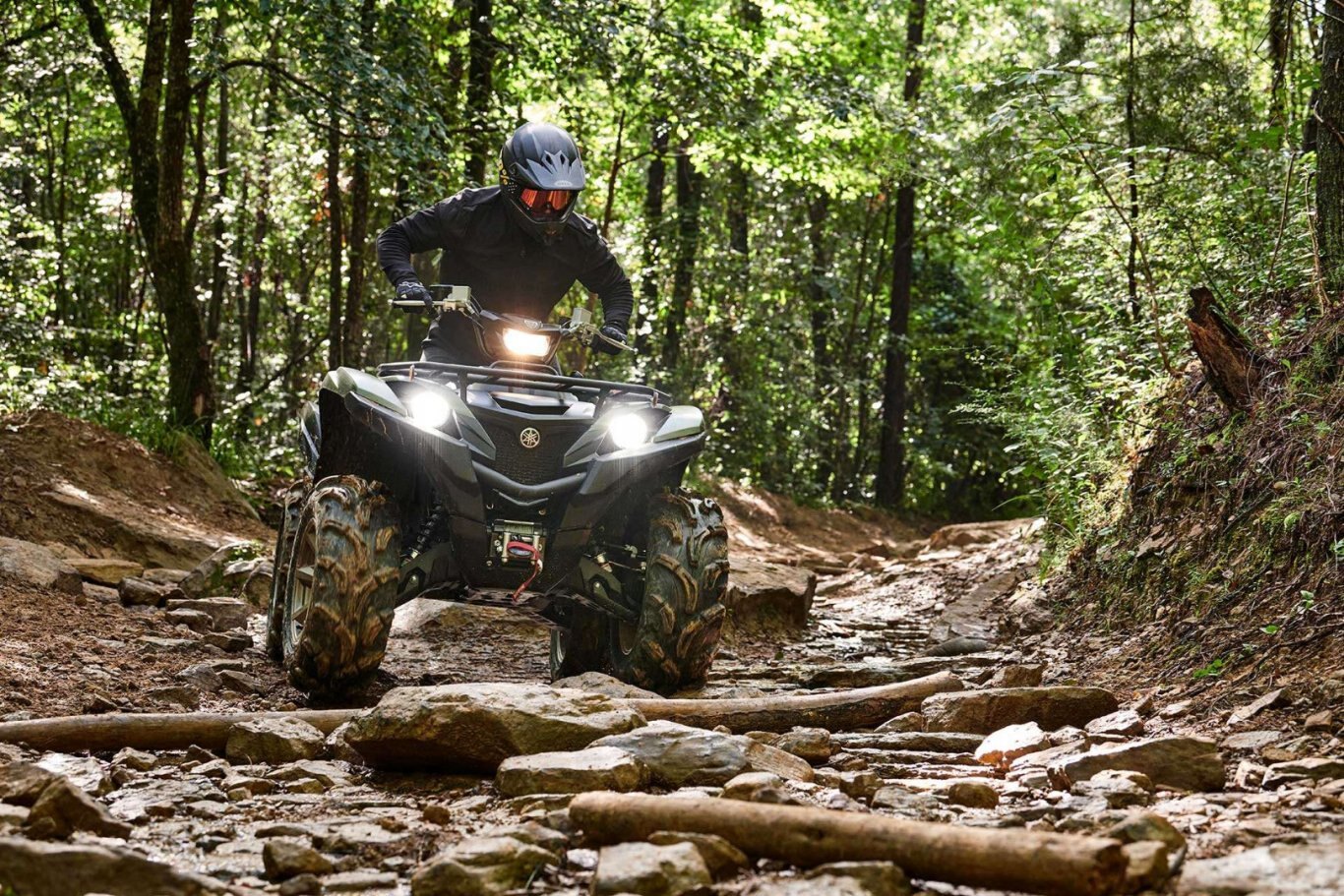 2021 Yamaha Grizzly EPS SE