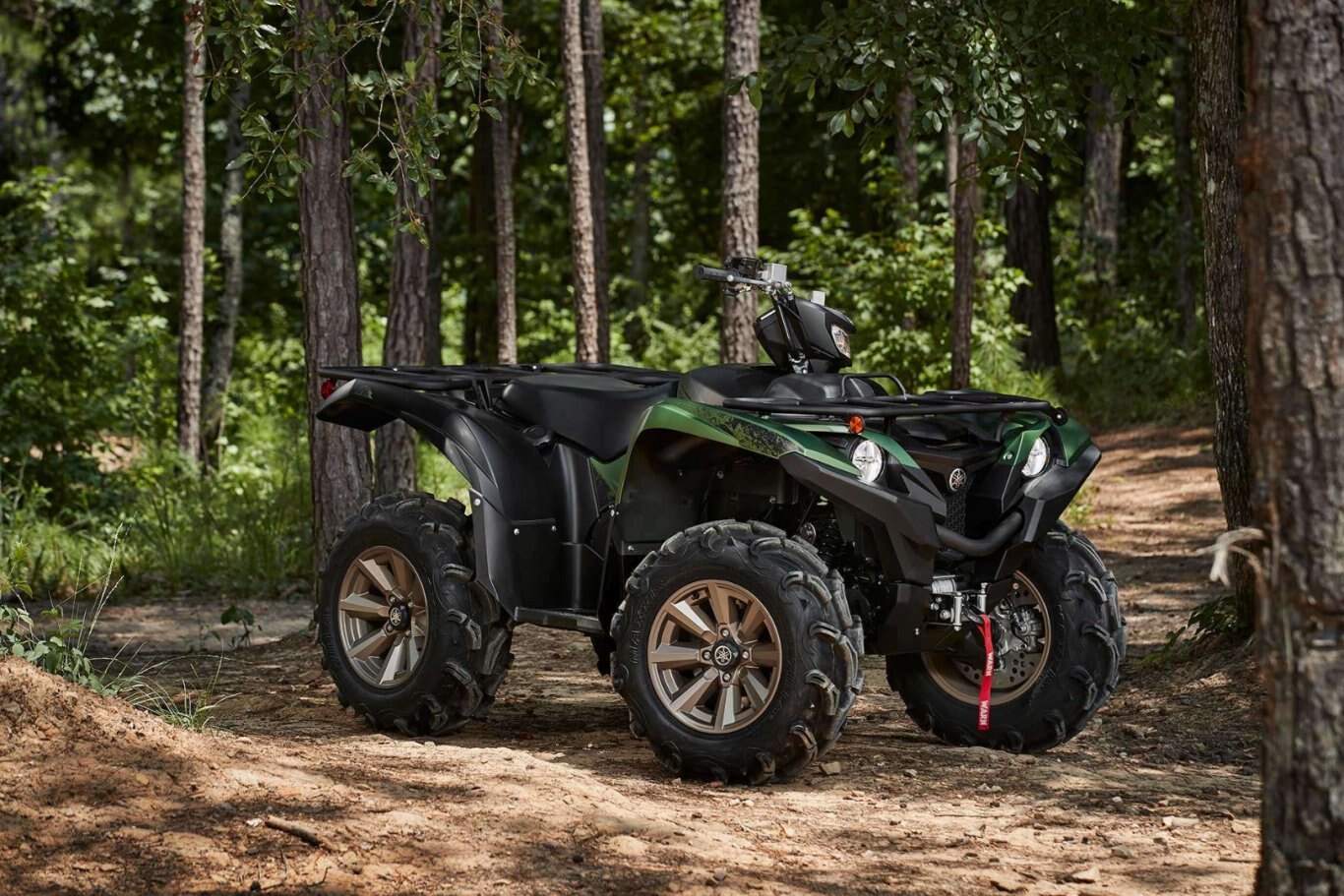 2021 Yamaha Grizzly EPS SE