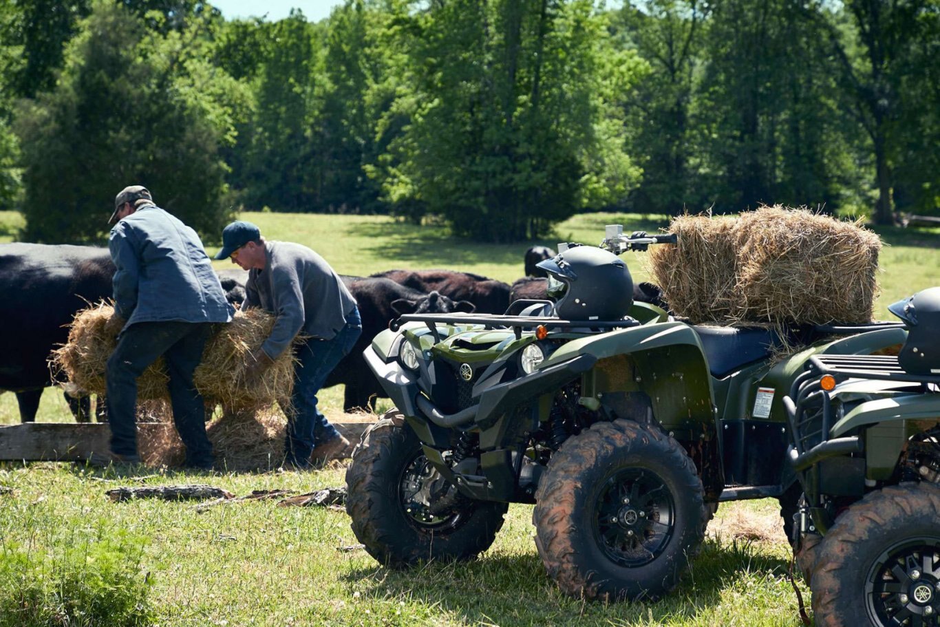 2021 Yamaha Grizzly EPS