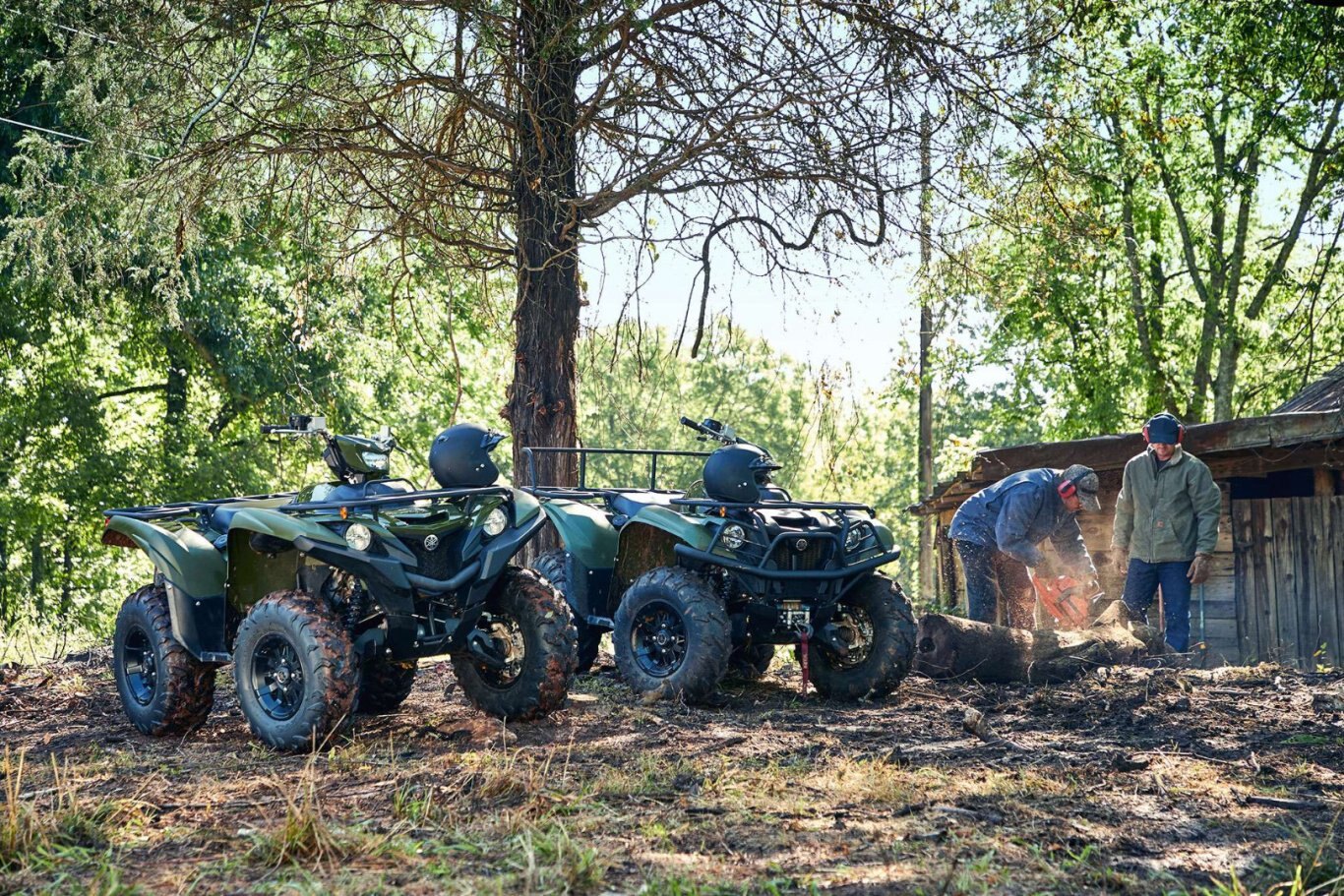 2021 Yamaha Grizzly EPS