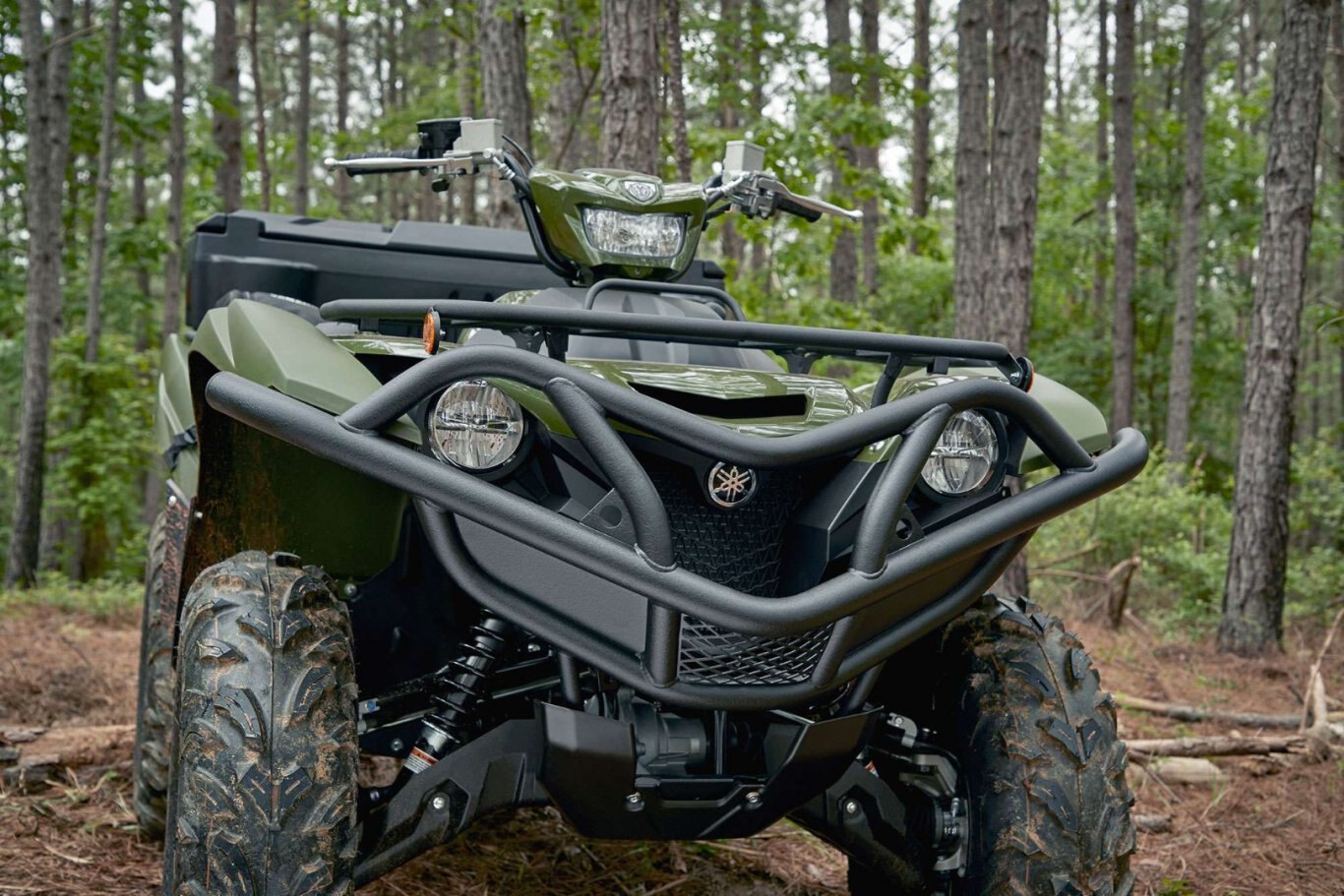 2021 Yamaha Grizzly EPS