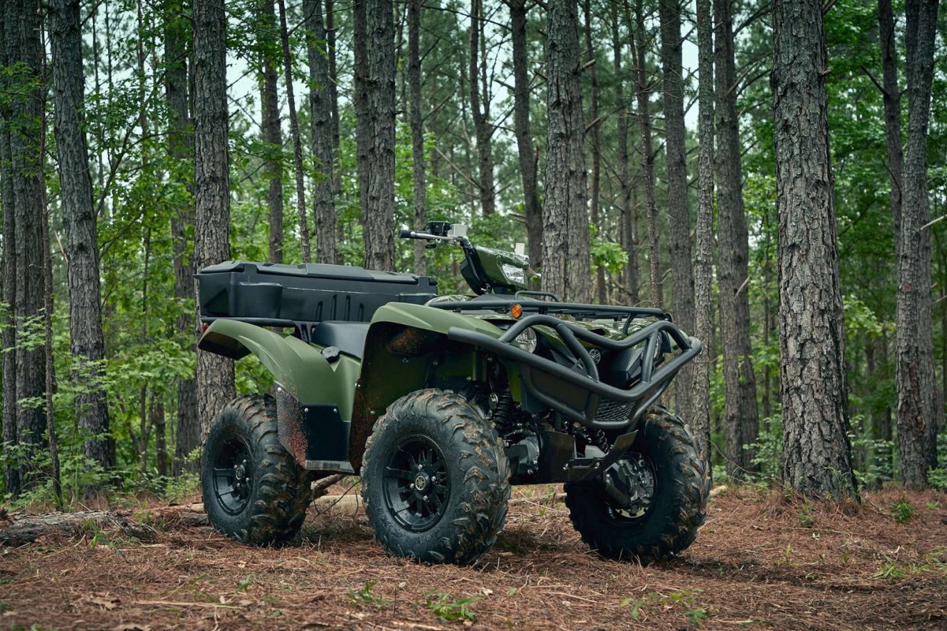 2021 Yamaha Grizzly EPS