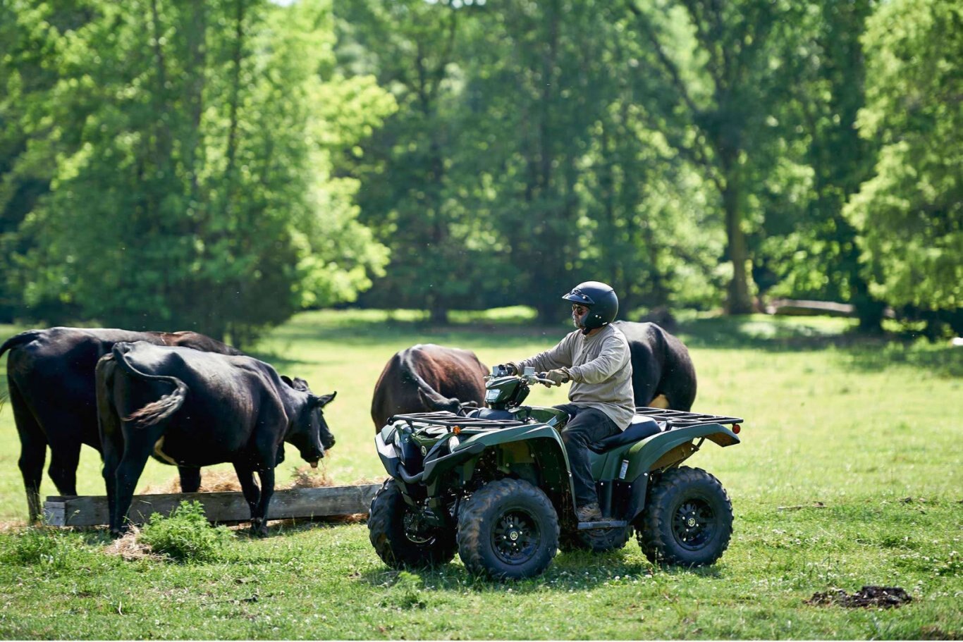 2021 Yamaha Grizzly EPS