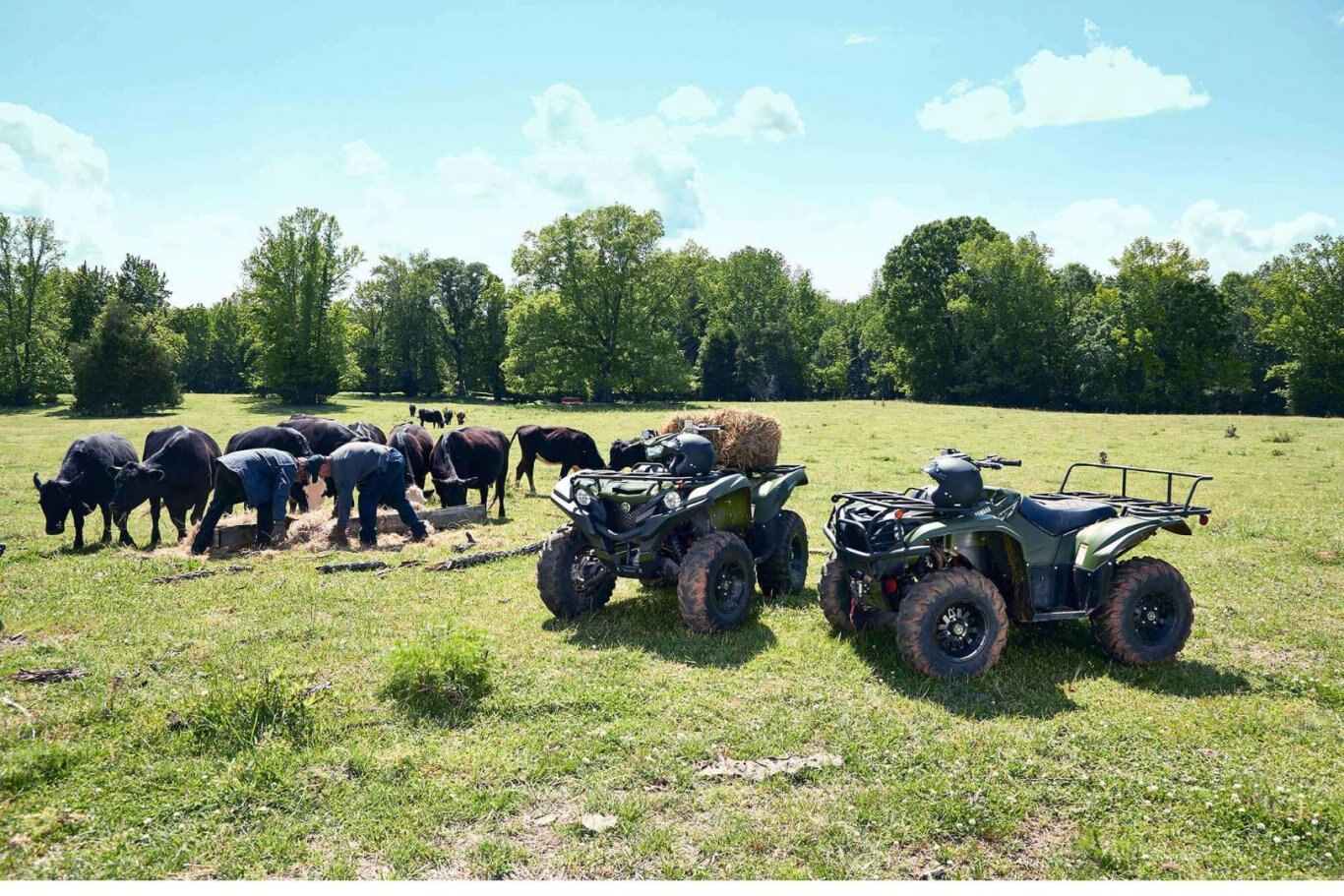 2021 Yamaha Kodiak 700 EPS