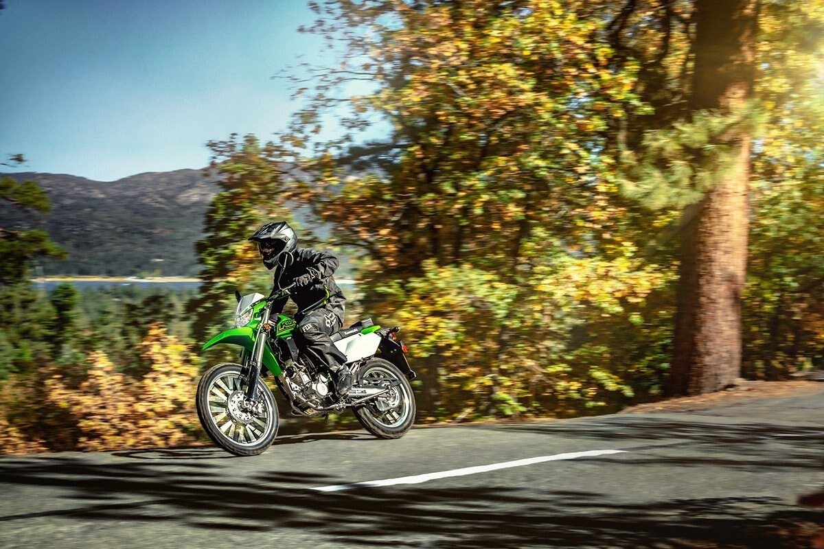 2021 Kawasaki KLX300