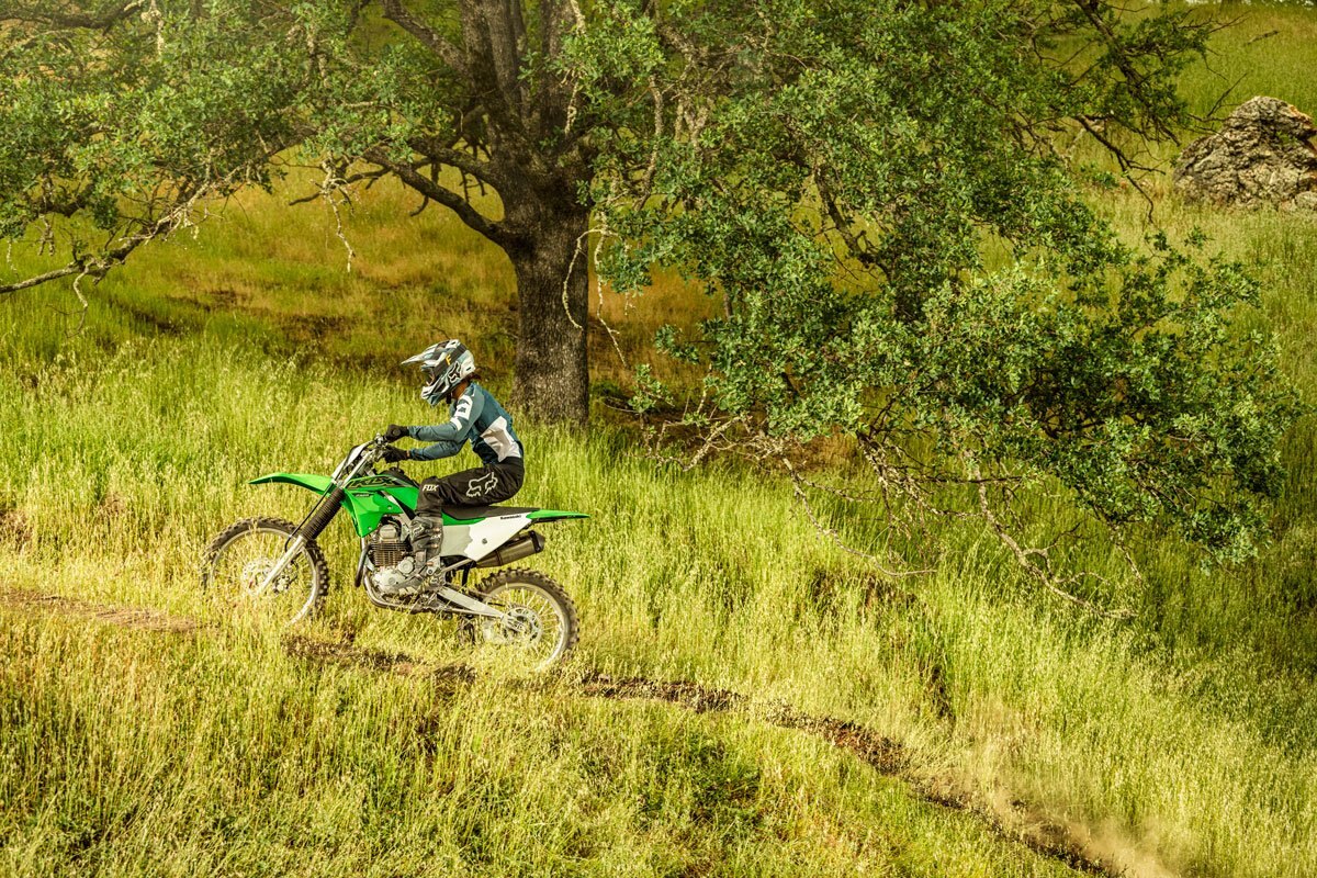 2021 Kawasaki KLX230R S