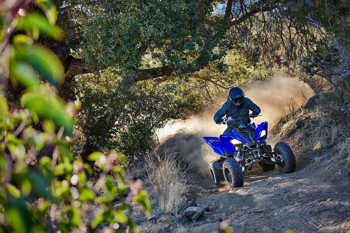 2021 Yamaha RAPTOR 700R