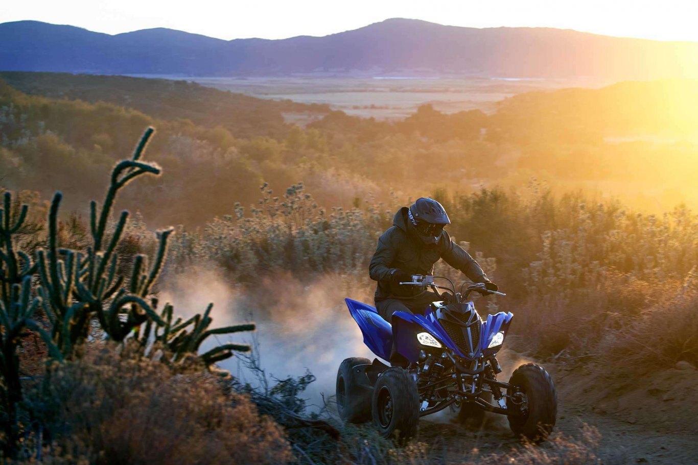 2021 Yamaha RAPTOR 700R