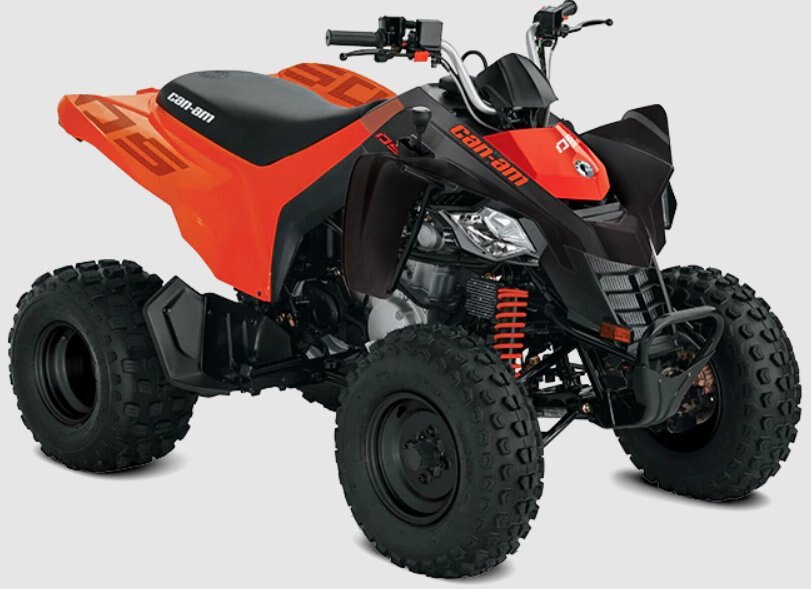 2022 Can-Am DS 250