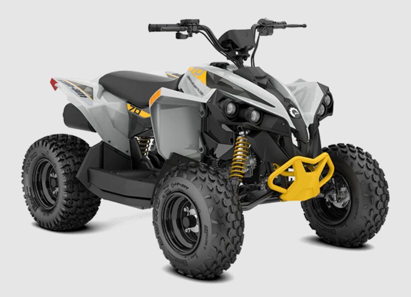 2023 Can-Am RENEGADE 70 EFI catalyst-gray--neo-yellow