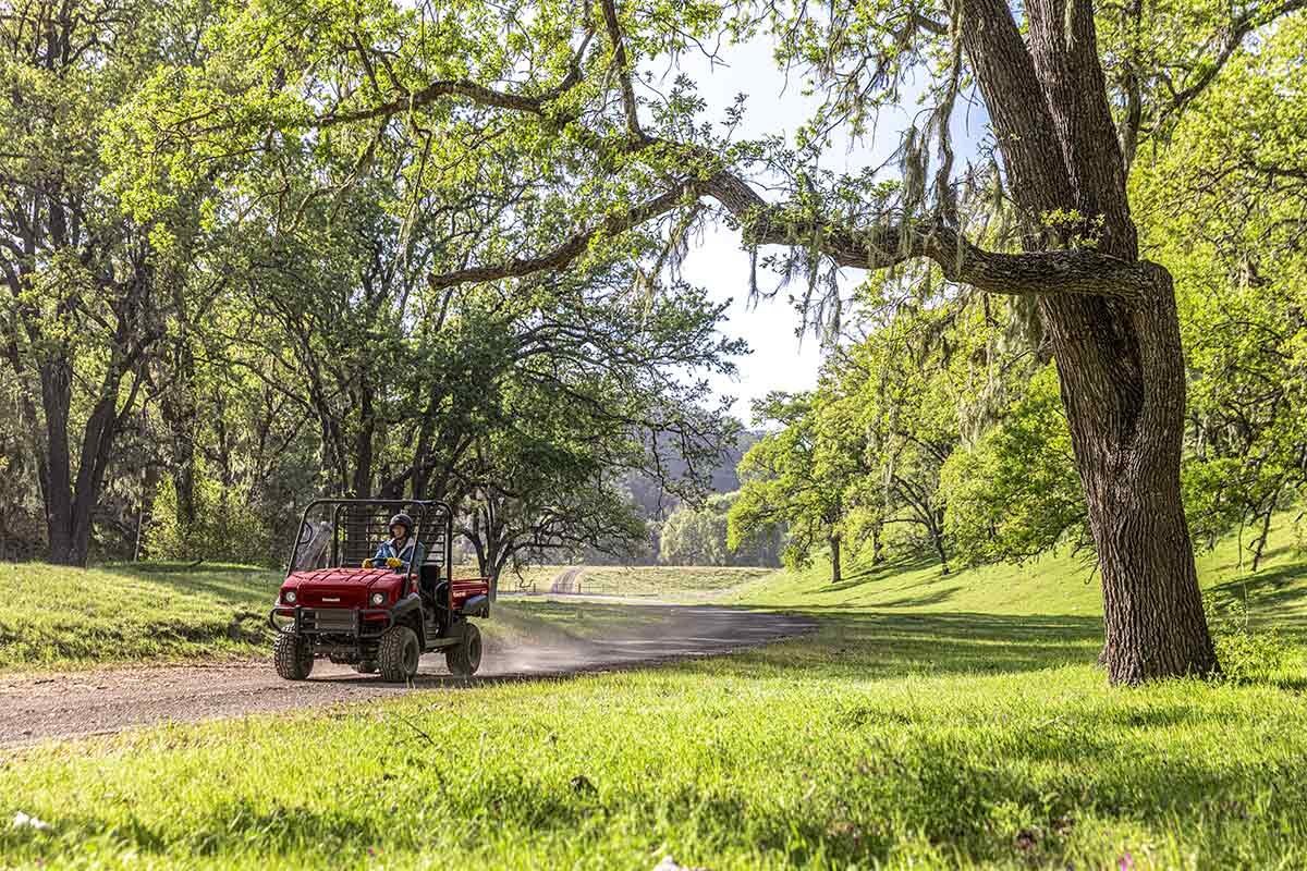 2025 Kawasaki MULE 4010 4x4