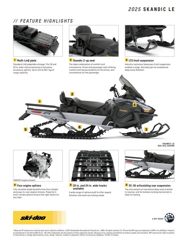 2025 Ski Doo Skandic LE 600 EFI