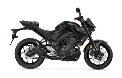 2025 Yamaha MT03