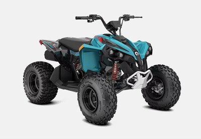 2026 Can-Am Renegade 110