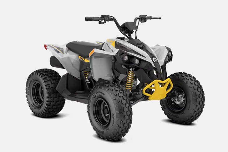 2026 Can Am Renegade 110