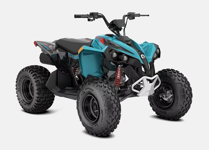 2026 Can Am Renegade 110 2x4