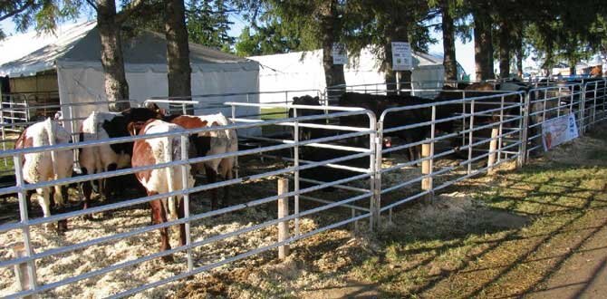 Duralume Standard Gates