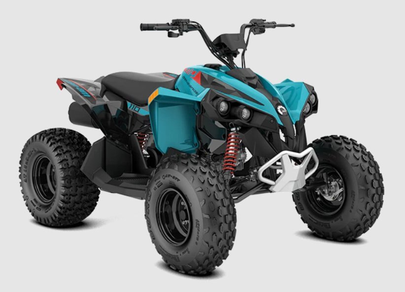 2023 Can-Am RENEGADE 110 EFI iceberg-blue--black