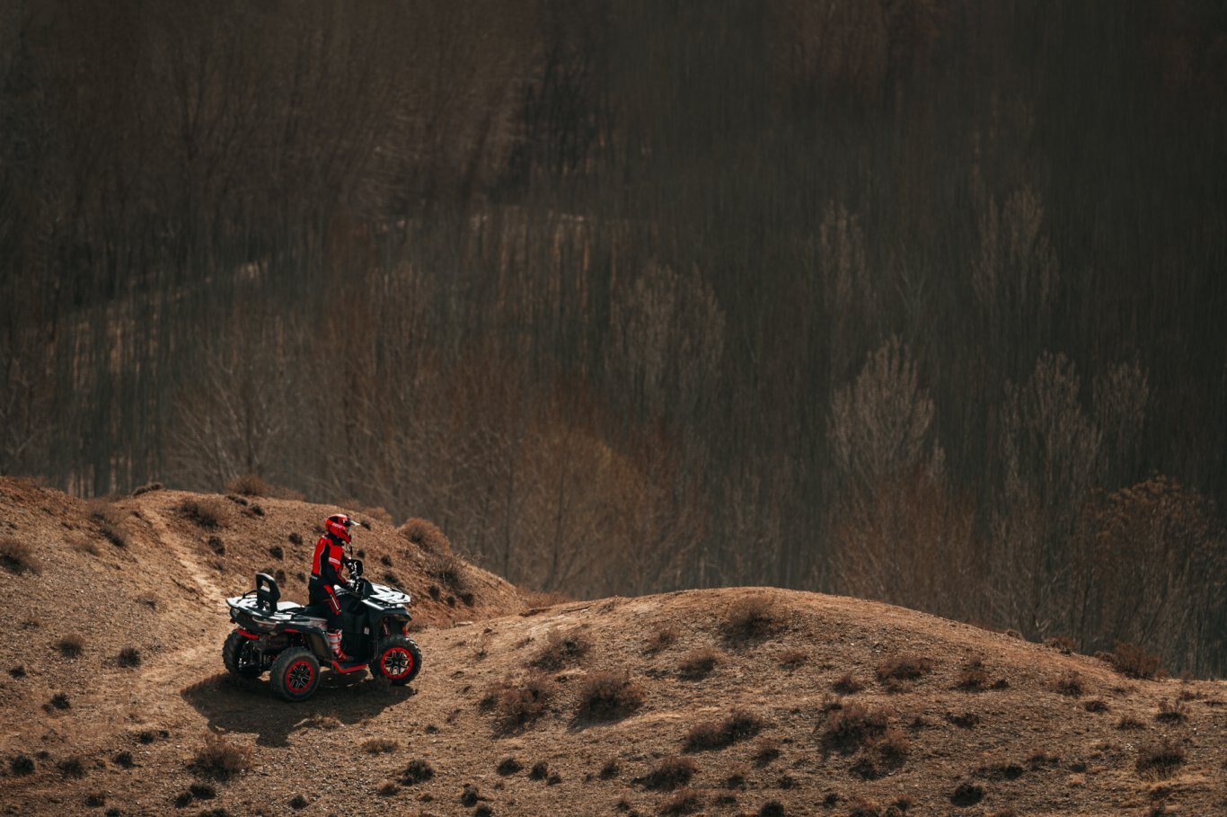 2022 Segway Snarler AT6S E 1 Seat (Base Model) Bold Black Dream Green