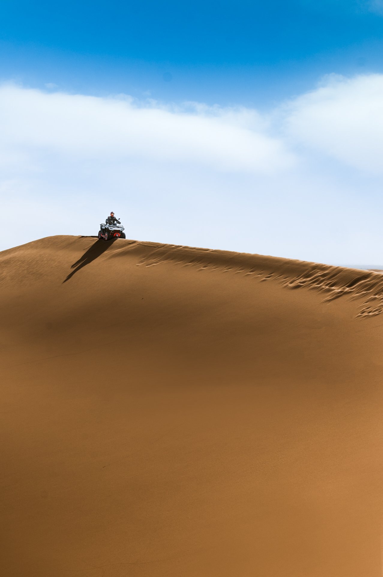 2022 Segway Snarler AT6S E 1 Seat (Base Model) Bold Black Dream Green