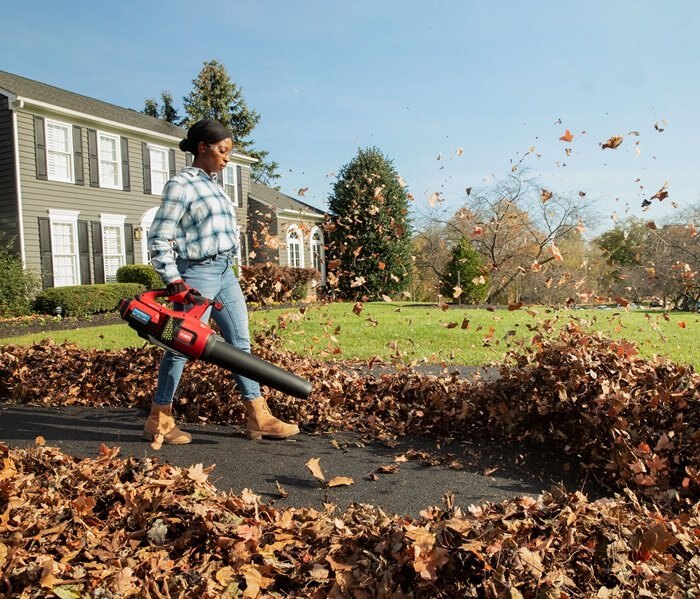 TORO 60V MAX CORDLESS BLOWER 4AH