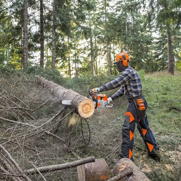 STIHL MS 462 C M W/20 BAR & CHAIN