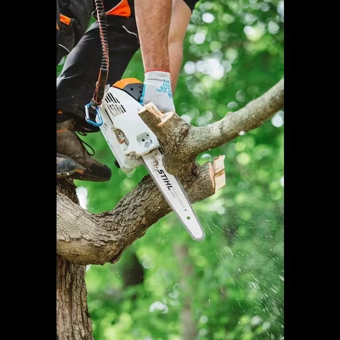 STIHL MS 151 T C E WITH 12 BAR & CHAIN