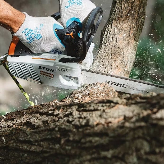 STIHL MS 151 T C E WITH 12 BAR & CHAIN