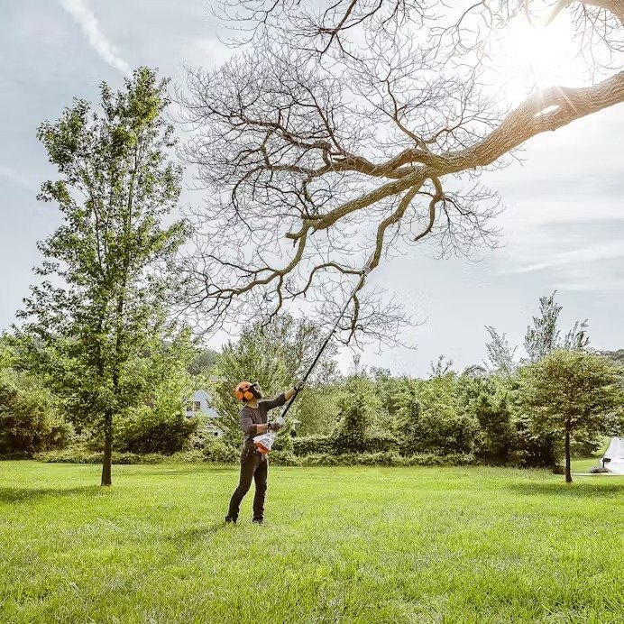 STIHL HT 56 C E POLE PRUNER