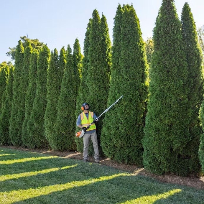 STIHL HLA 135 LITHIUM ION SHORT SHAFT HEDGE TRIMMER