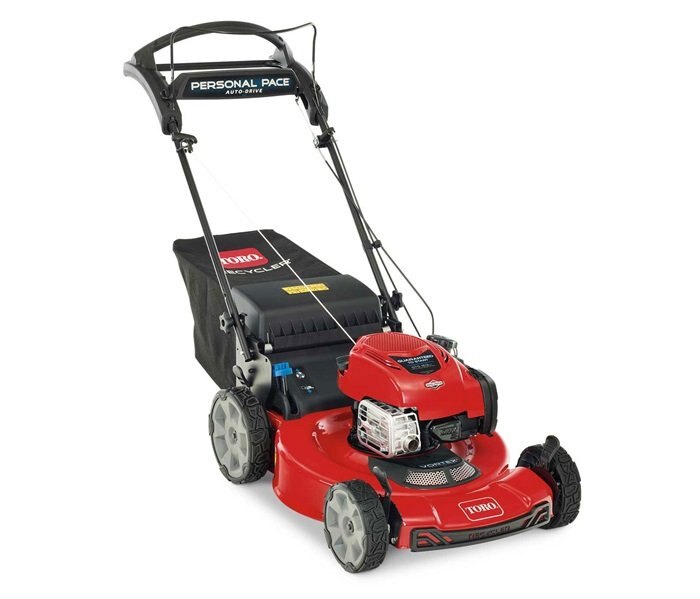 Toro 22 B&S 163CC PERSONAL PACE HW (21462)