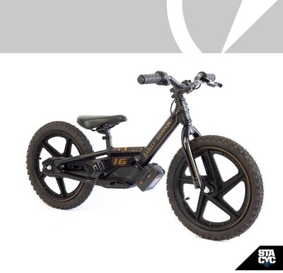 2026 Stacyc H-D 16eDRIVE BRUSHLESS