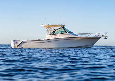 KingFisher 1825 Falcon Sport with F115XB2