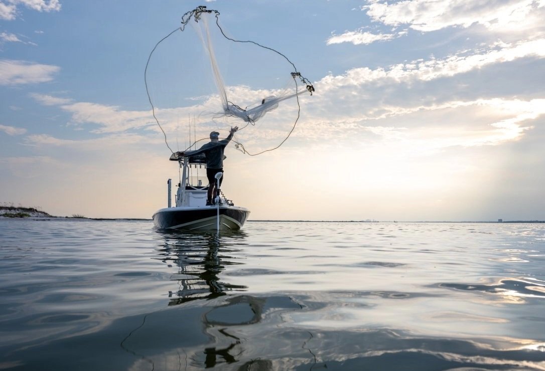 Skeeter SX241