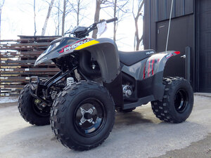 2022 Polaris Phoenix 200