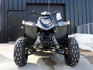 2022 Polaris Phoenix 200