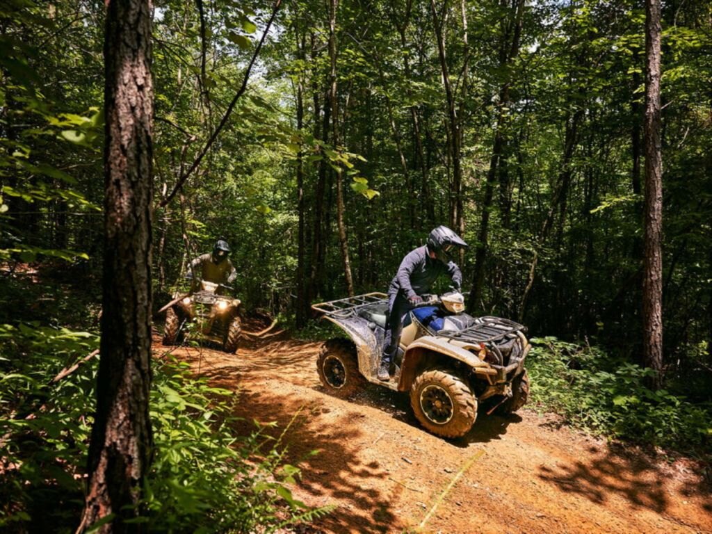 2024 Yamaha Kodiak 700 EPS SE