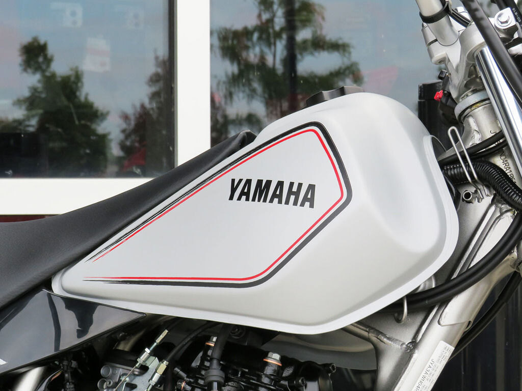 2024 Yamaha TW200