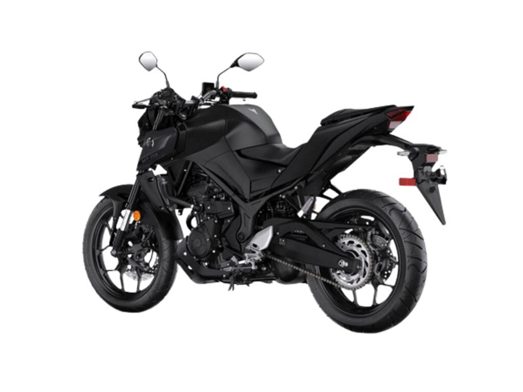 2024 Yamaha MT 03