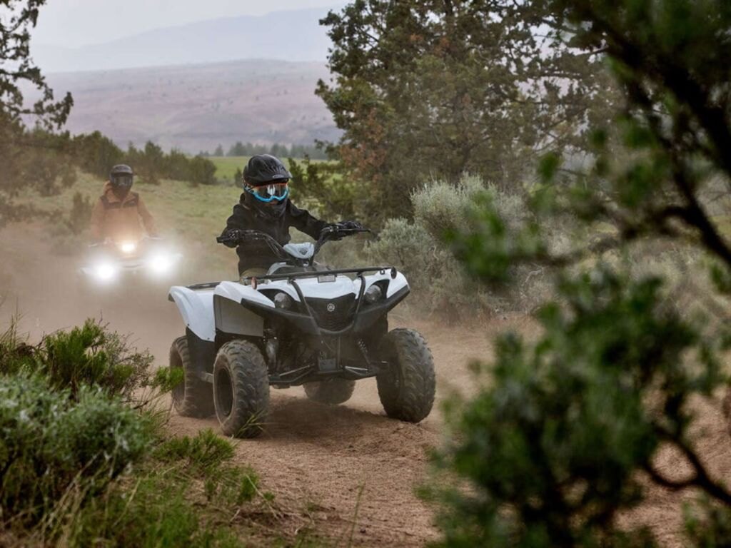 2024 Yamaha Grizzly 90