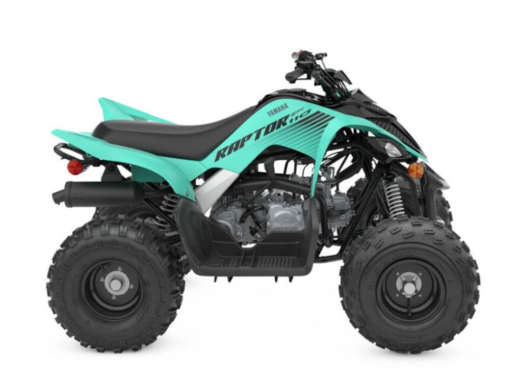 2024 Yamaha Raptor 110