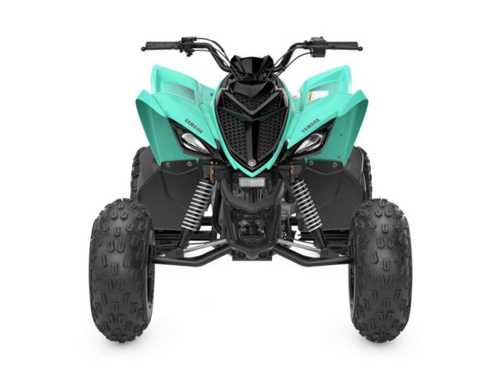 2024 Yamaha Raptor 110